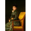 Dona Teresa Sureda by Francisco de Goya-Art gallery oil painting...