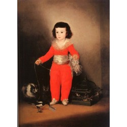 Don Manuel Osorio Manrique de Zuñiga by Francisco de Goya-Art...