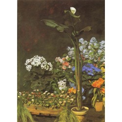 Arum and Conservatory Plants 1864 by Pierre Auguste Renoir-Art...