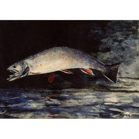 A Brook Trout by Winslow Homer - Art gallery oil painting reproductions