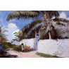 A Garden in Nassau by Winslow Homer - Art gallery oil painting...