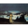 A Summer Night by Winslow Homer - Art gallery oil painting...