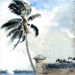A Tropical Breeze, Nassau by Winslow Homer - Art gallery oil painting reproductions