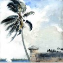 A Tropical Breeze, Nassau by Winslow Homer - Art gallery oil...