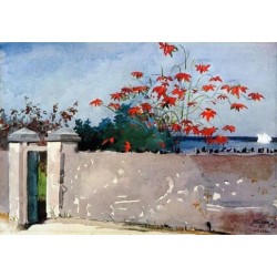 A Wall, Nassau by Winslow Homer - Art gallery oil painting reproductions
