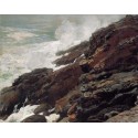 High Cliff, Coast of Maine by Winslow Homer - Art gallery oil...