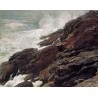 High Cliff, Coast of Maine by Winslow Homer - Art gallery oil...