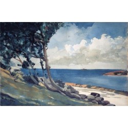 North Road, Bermuda by Winslow Homer - Art gallery oil painting reproductions