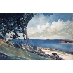 North Road, Bermuda by Winslow Homer - Art gallery oil painting...