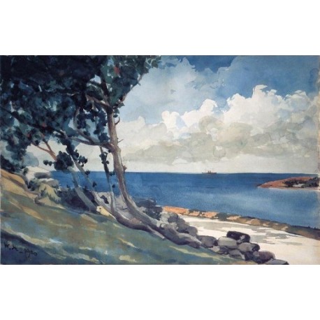 North Road, Bermuda by Winslow Homer - Art gallery oil painting...