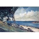North Road, Bermuda by Winslow Homer - Art gallery oil painting...