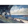 North Road, Bermuda by Winslow Homer - Art gallery oil painting...