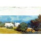 Shore at Bermuda by Winslow Homer - Art gallery oil painting reproductions