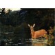 Solitude by Winslow Homer - Art gallery oil painting reproductions