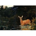 Solitude by Winslow Homer - Art gallery oil painting reproductions