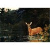 Solitude by Winslow Homer - Art gallery oil painting reproductions