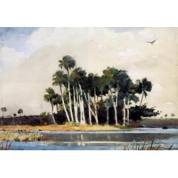 The Turkey Buzzard by Winslow Homer - Art gallery oil painting...