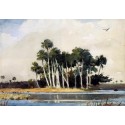 The Turkey Buzzard by Winslow Homer - Art gallery oil painting...