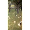After the Rain by Gustav Klimt- Art gallery oil painting reproductions