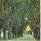 Avenue of Schloss Kammer Park by Gustav Klimt- Art gallery oil painting reproductions