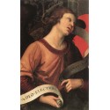 Angel by Raphael Sanzio-Art gallery oil painting reproductions