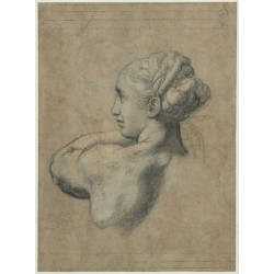Head of a Woman by Raphael Sanzio-Art gallery oil painting...