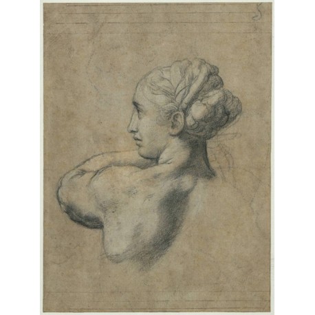 Head of a Woman by Raphael Sanzio-Art gallery oil painting...