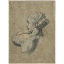Head of a Woman by Raphael Sanzio-Art gallery oil painting...