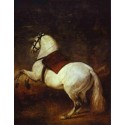A White Horse 1635 by Diego Velazquez - Art gallery oil painting...