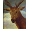 Head of a Stag 1626-27 by Diego Velazquez - Art gallery oil...
