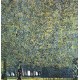 Park by Gustav Klimt-Art gallery oil painting reproductions