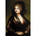 Francisco José de Goya -Isabel de Porcel-Art gallery oil painting...