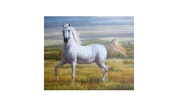 Horses oil painting reproductions on sale!