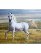 Horses
