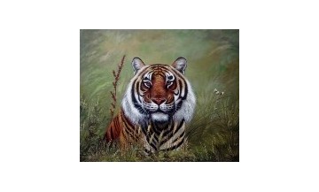 Wildlife oil painting reproductions on sale!