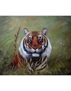 Wildlife
