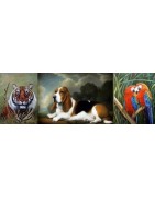 Animals